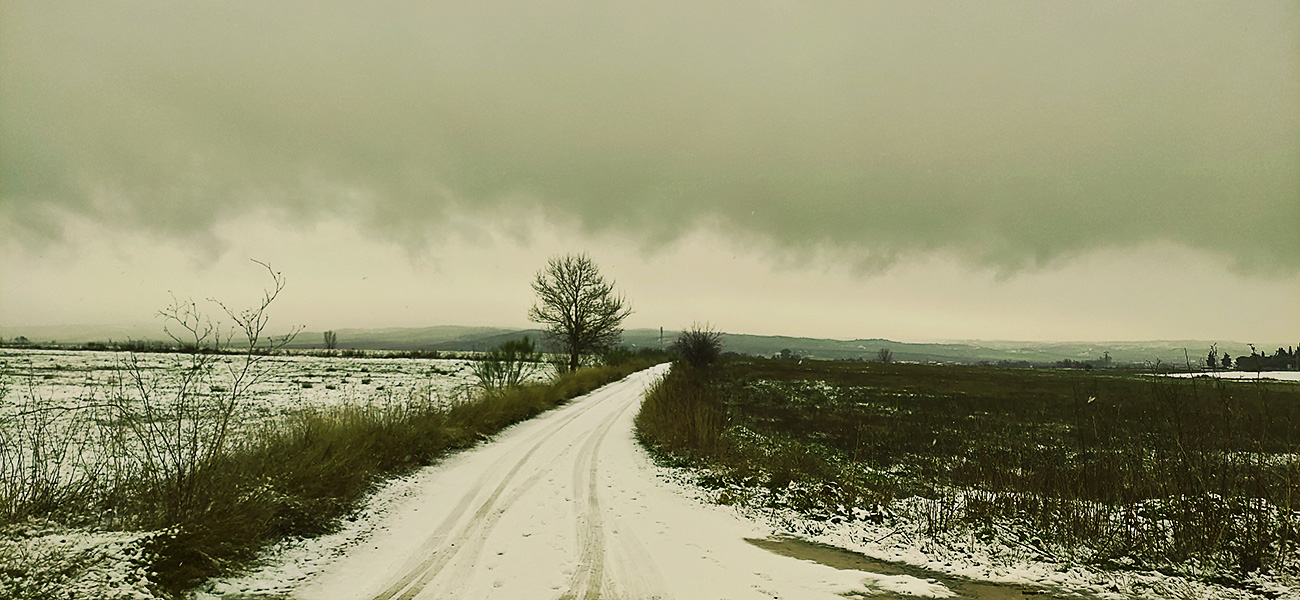 El término de Malpica de Tajo nevado