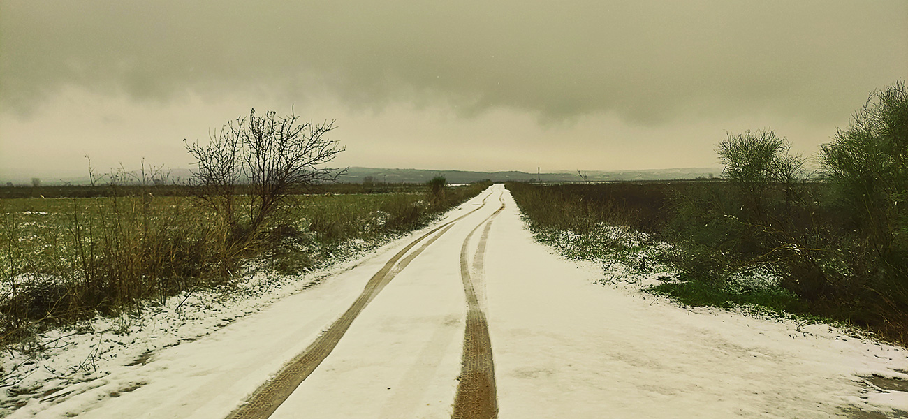 El término de Malpica de Tajo nevado