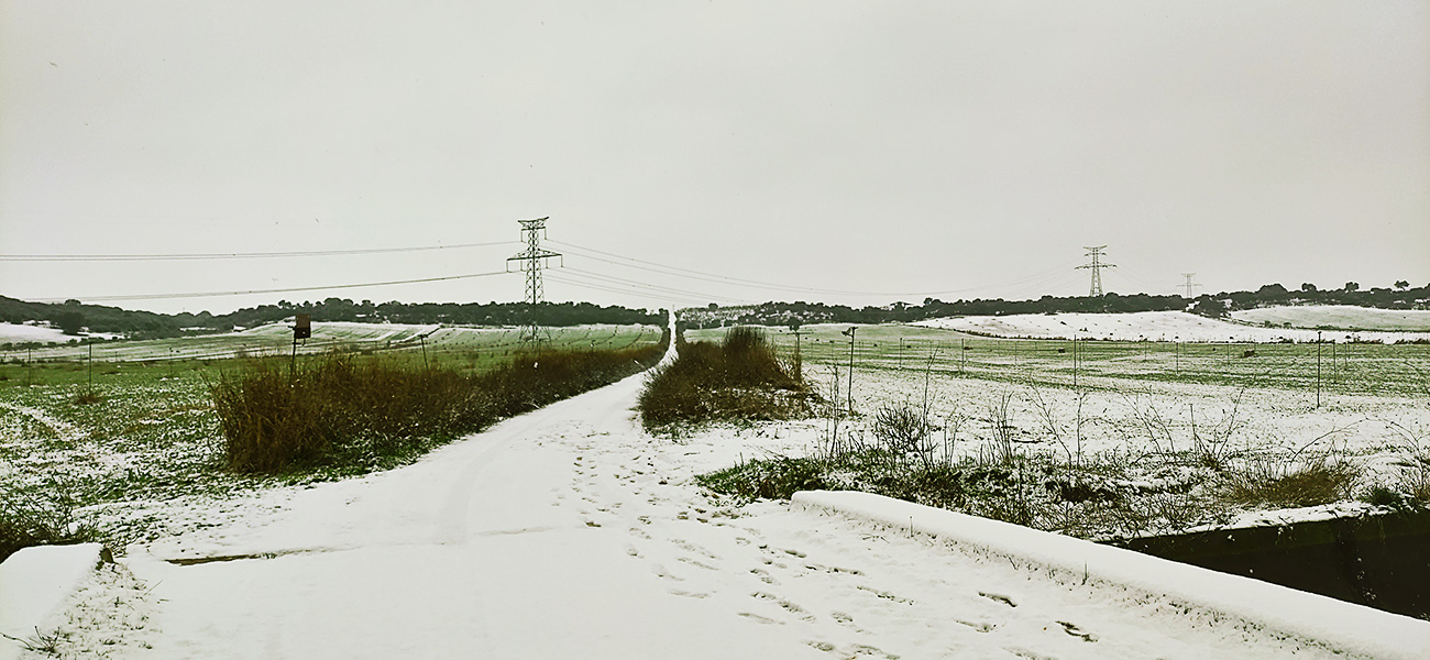 El término de Malpica de Tajo nevado