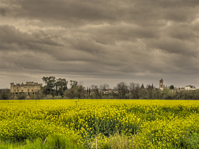 Castillo e iglesia de Malpica de Tajo en la primavera de 2013