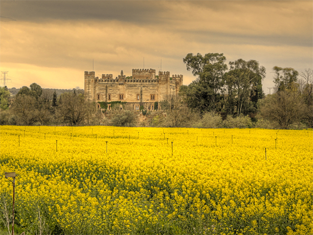 Castillo de Malpica de Tajo en la primavera de 2013