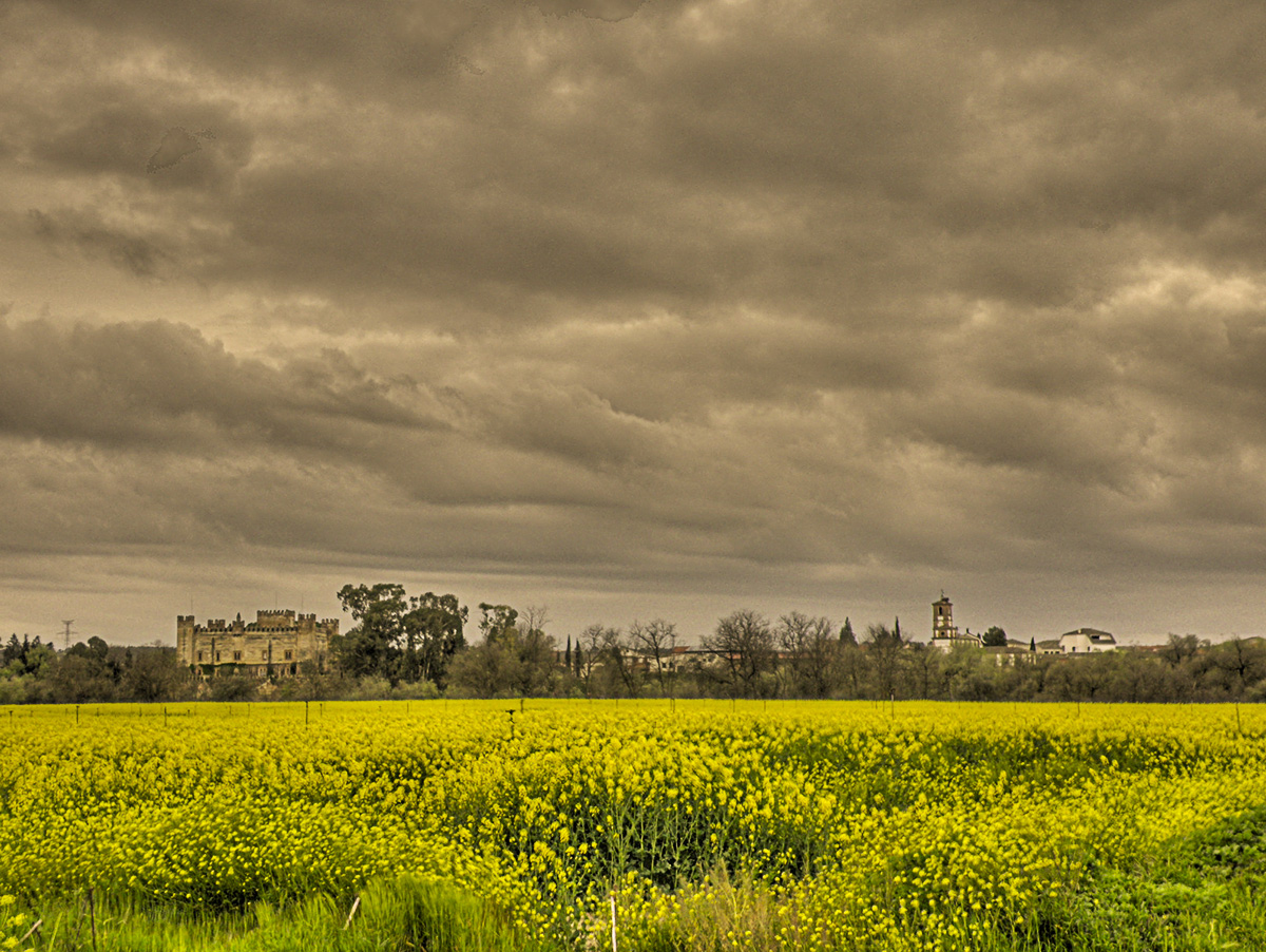 Castillo e iglesia de Malpica de Tajo en la primavera de 2013