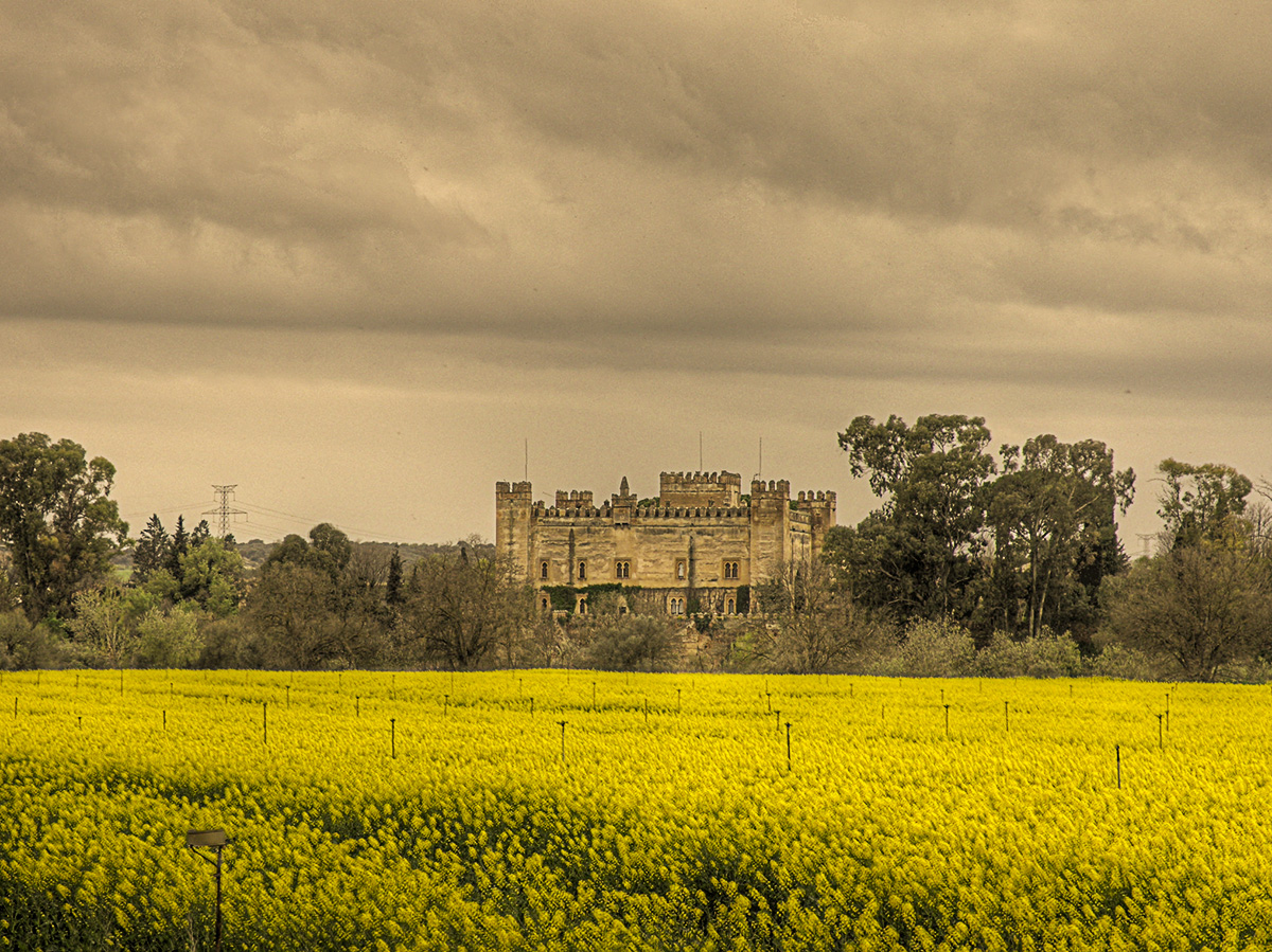 Castillo de Malpica de Tajo en la primavera de 2013