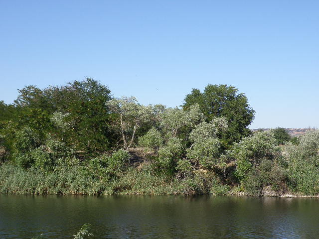 Paraje a la izquierda del puente viejo con los restos del amarradero de la barca
