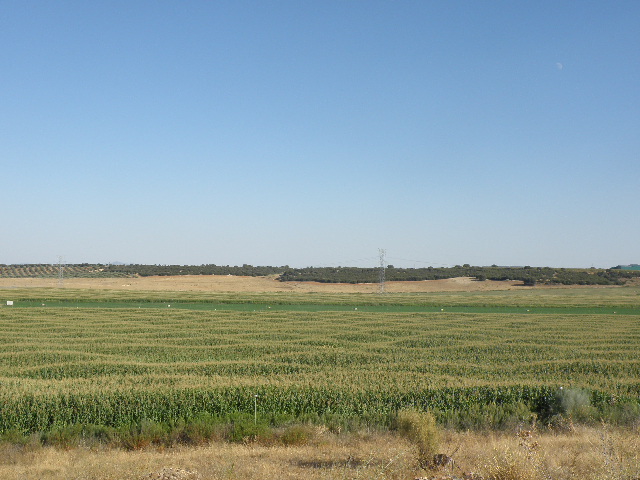 Otra vista del quinto Trmino de Malpica de Tajo 