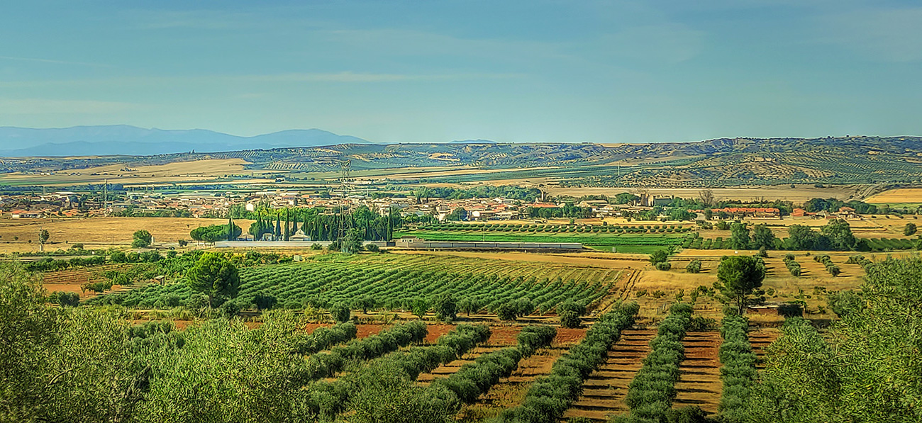 Vista sur de Malpica de Tajo