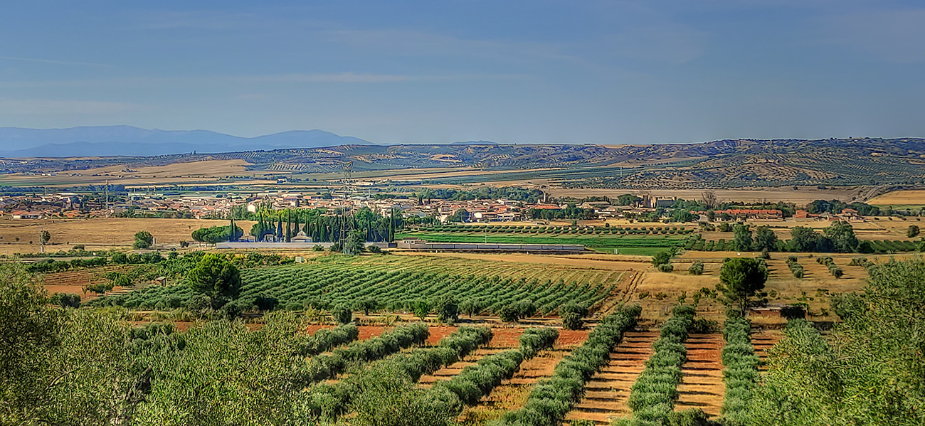 Vista sur de Malpica de Tajo