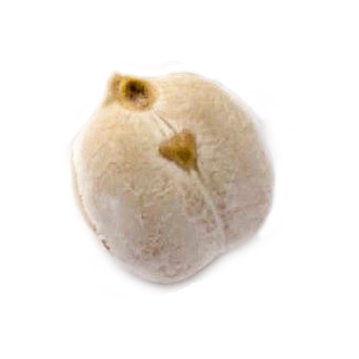 Jeroglífico