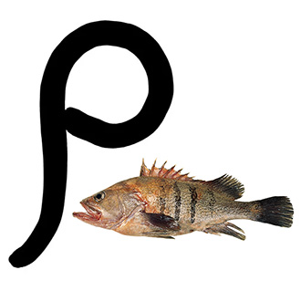 Jeroglífico