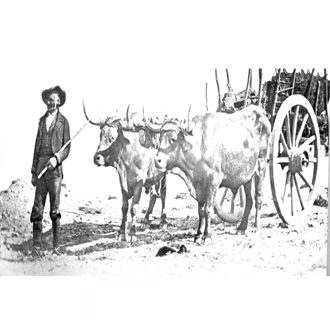 Jeroglífico