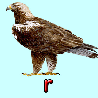 Jeroglífico