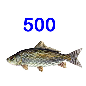 Jeroglífico