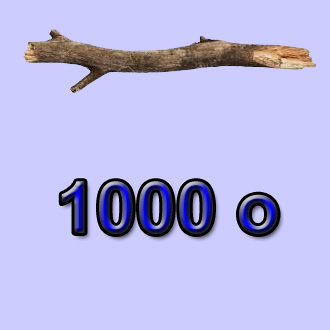 Jeroglífico