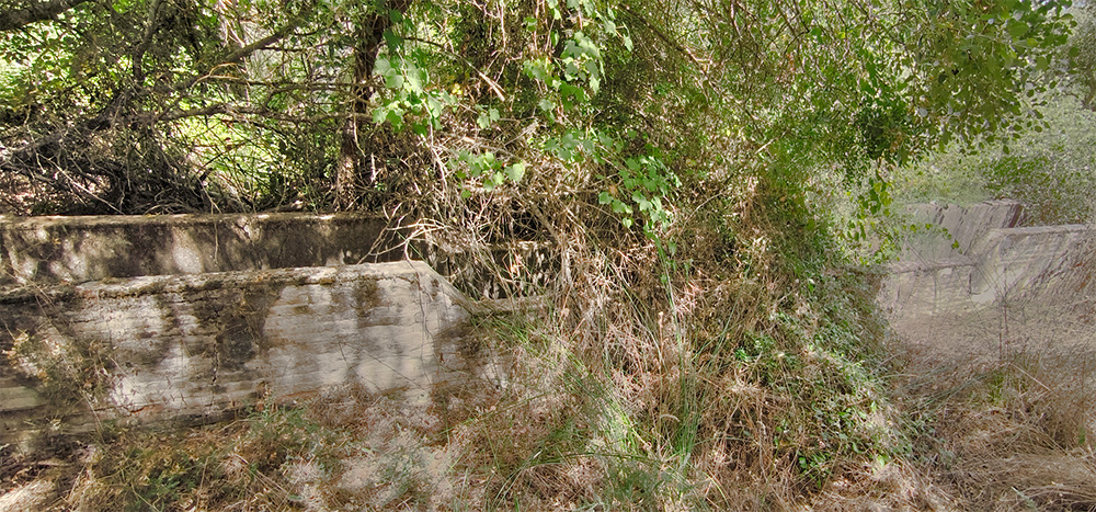 Baño de las borras, quinto de Tapias, Malpica de Tajo Baño de las borras, quinto de Tapias, Malpica de Tajo