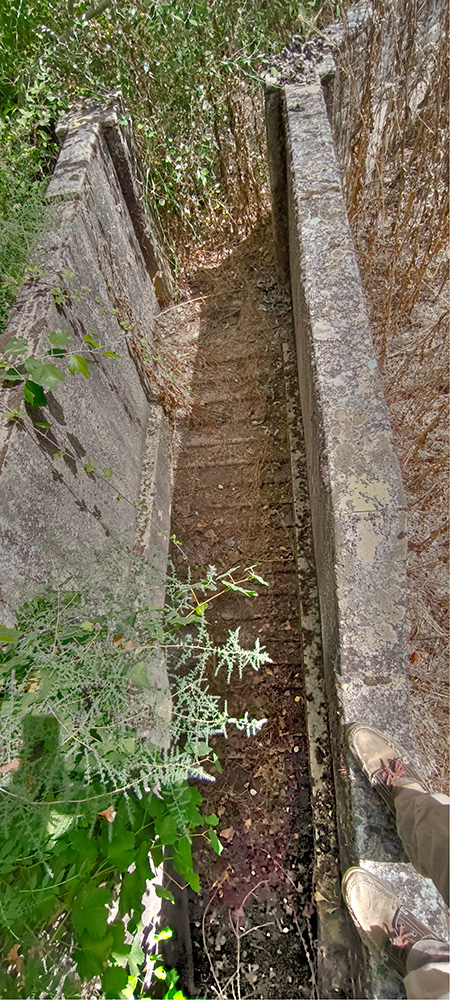 Baño de las borras, quinto de Tapias, Malpica de Tajo Baño de las borras, quinto de Tapias, Malpica de Tajo