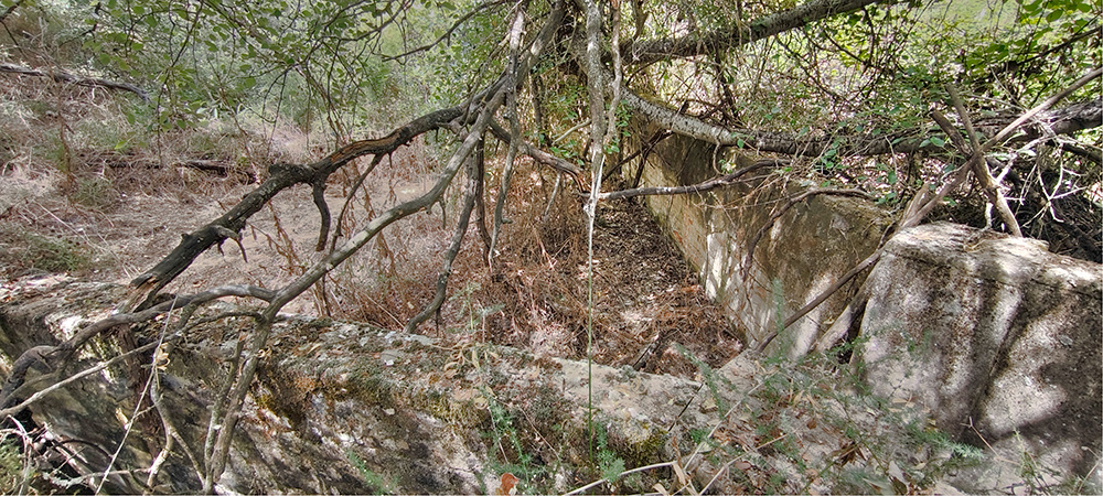 Baño de las borras, quinto de Tapias, Malpica de Tajo Baño de las borras, quinto de Tapias, Malpica de Tajo