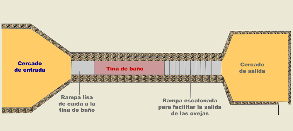 Baño de las borras, esquema de la planta Baño de las borras, esquema de la planta