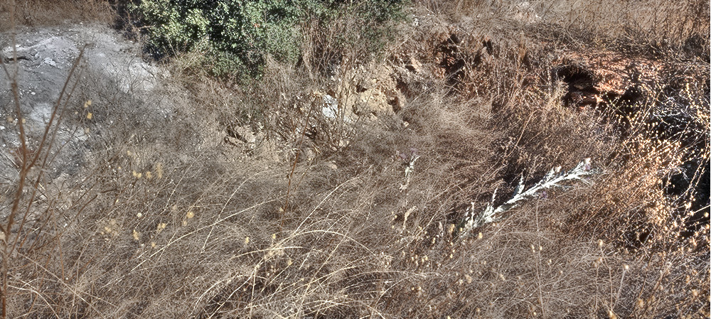 Las Caleras de Pajarquemao 1 Las Caleras de Pajarquemao 1