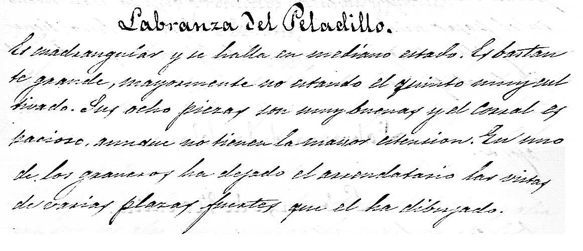 Labranza del Peladillo Labranza del Peladillo
