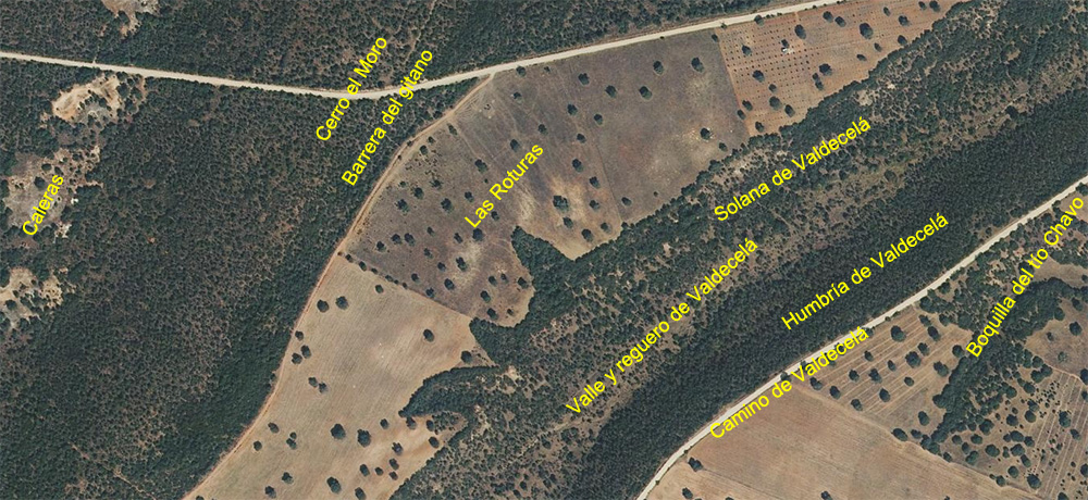 Llano de las caleras, Cerro el Oro, Boquila del gitano, Las Roturas y Valdecelá en Pajarquemao Llano de las caleras, Cerro el Oro, Boquila del gitano, Las Roturas y Valdecelá en Pajarquemao