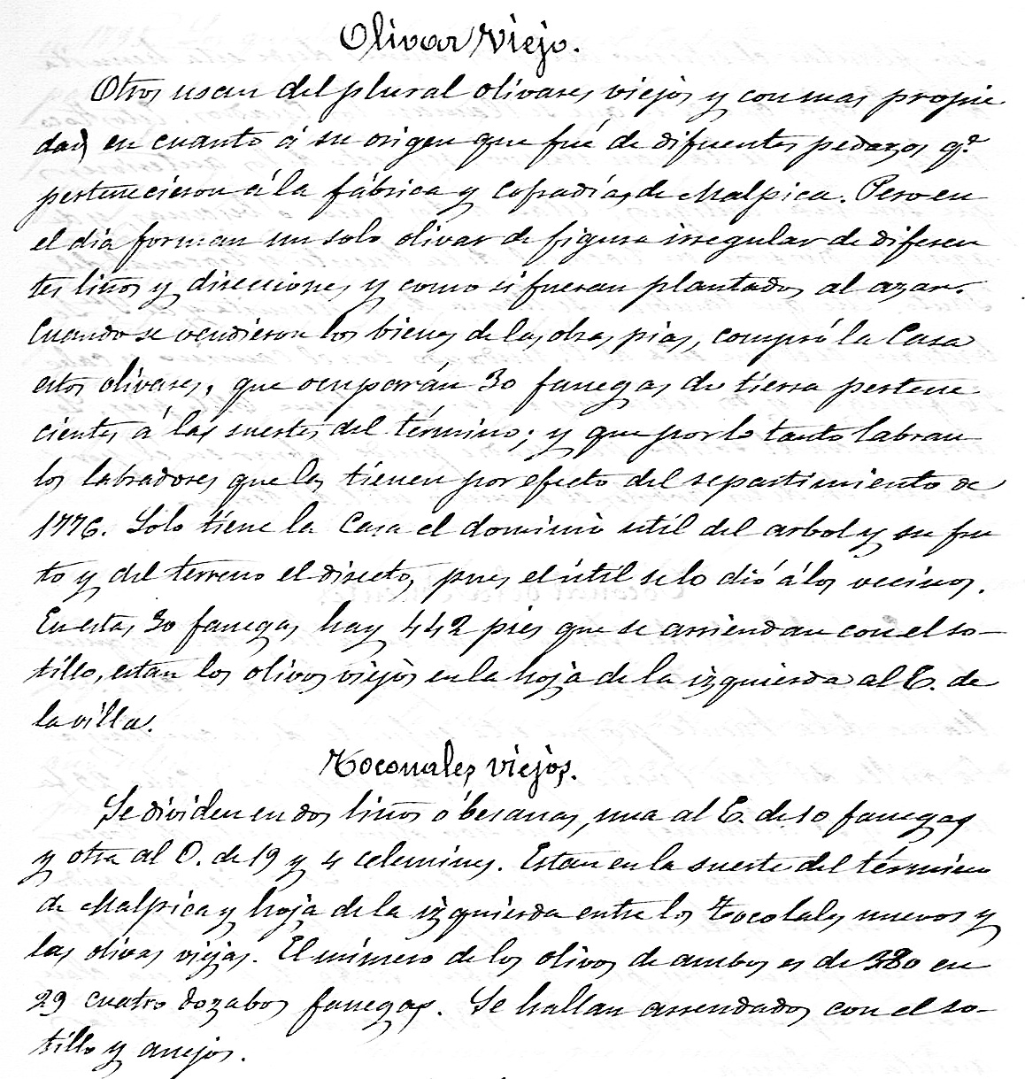 Los olivares del marqués de Malpica según Fermín Caballero en 1825 Los olivares del marqués de Malpica según Fermín Caballero en 1825
