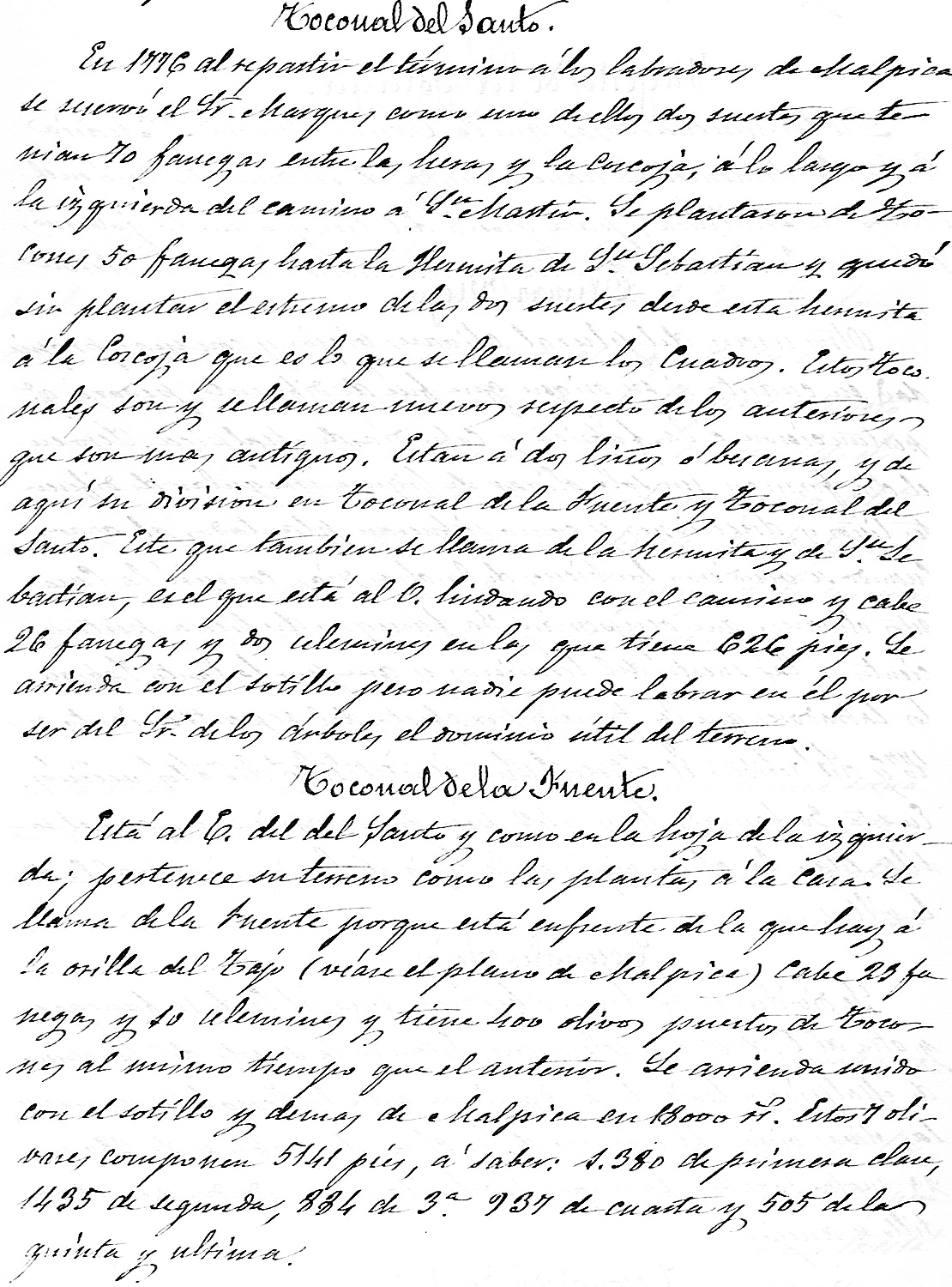 Los olivares del marqués de Malpica según Fermín Caballero en 1825 Los olivares del marqués de Malpica según Fermín Caballero en 1825