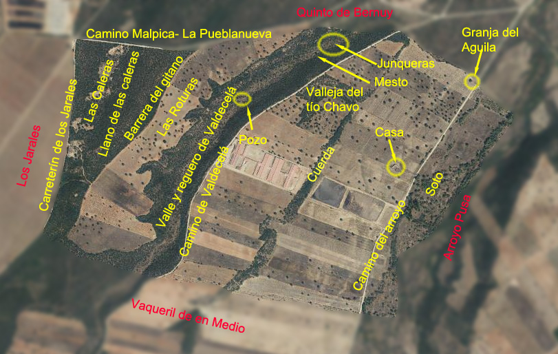 Quinto del Vaqueril Bajo o Pajarquemao Quinto del Vaqueril Bajo o Pajarquemao