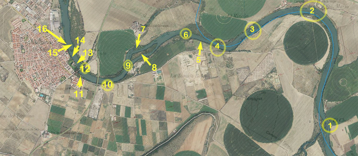 Parajes del río Tajo en Malpica 1 Parajes del río Tajo en Malpica 1