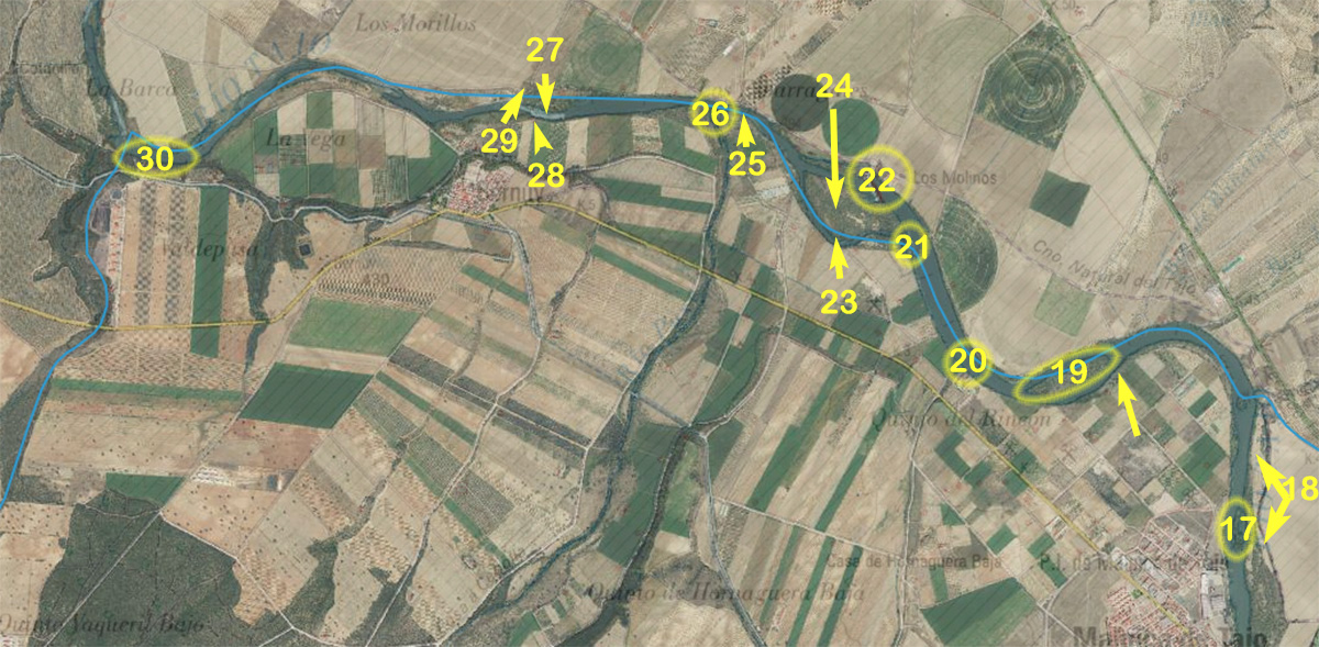 Parajes del río Tajo en Malpica 2 Parajes del río Tajo en Malpica 2
