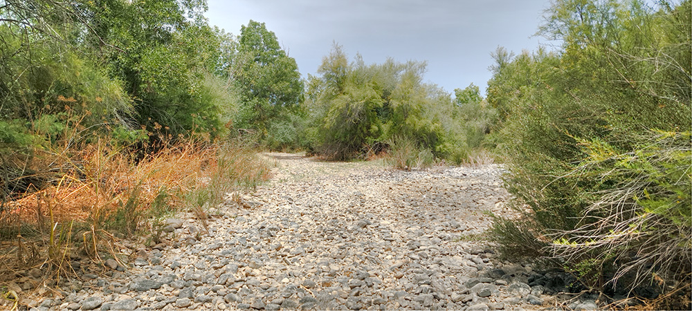Pasil del camino La Pueblanueva, salida por Bernuy Pasil del camino La Pueblanueva, salida por Bernuy