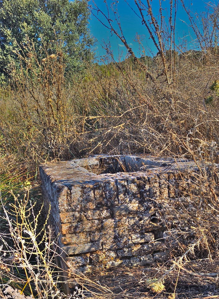El pozo de la Fuente Bartola El pozo de la Fuente Bartola