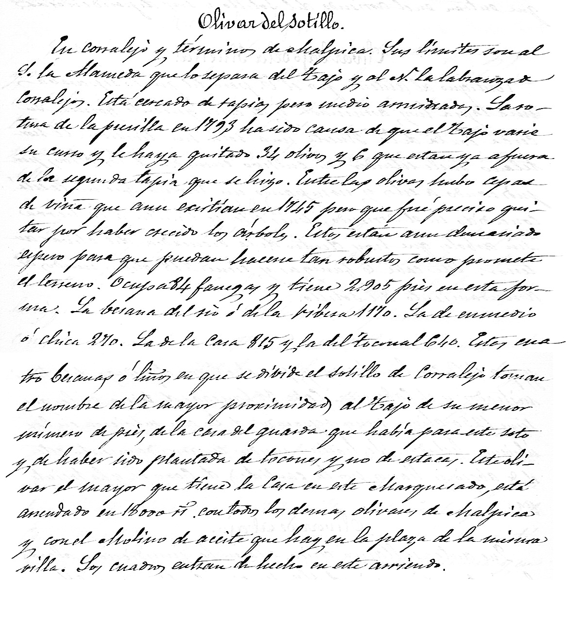 El Olivar del Sotillo según Fermín Caballero en 1825 El Olivar del Sotillo según Fermín Caballero en 1825