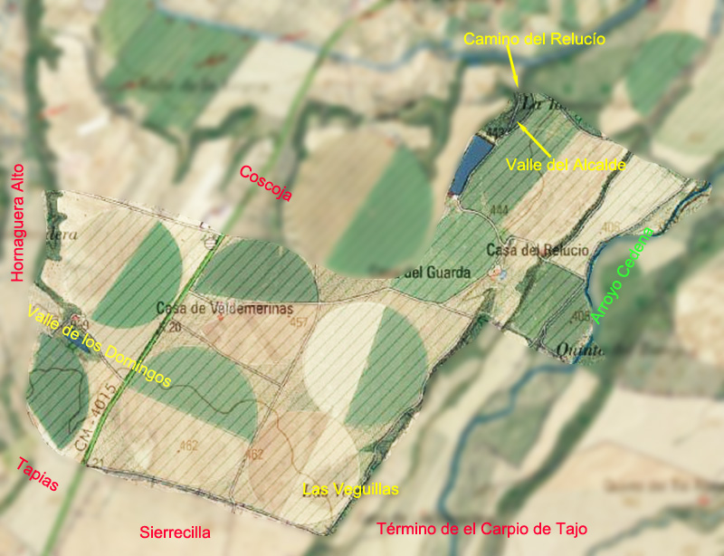 Valdemerina y el Relucío Valdemerina y el Relucío
