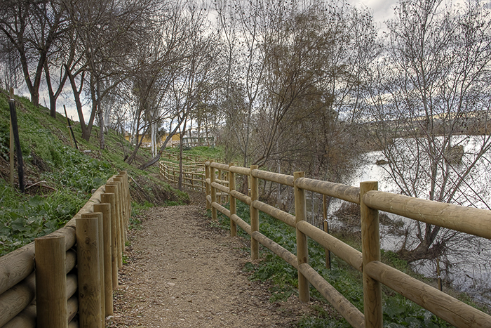 Paseo de la barranca 10 (Malpica de Tajo)