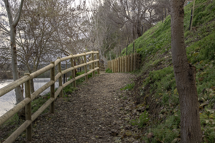 Paseo de la barranca 16 (Malpica de Tajo)