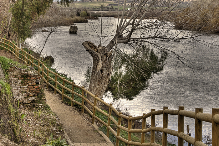 Paseo de la barranca 2 (Malpica de Tajo)