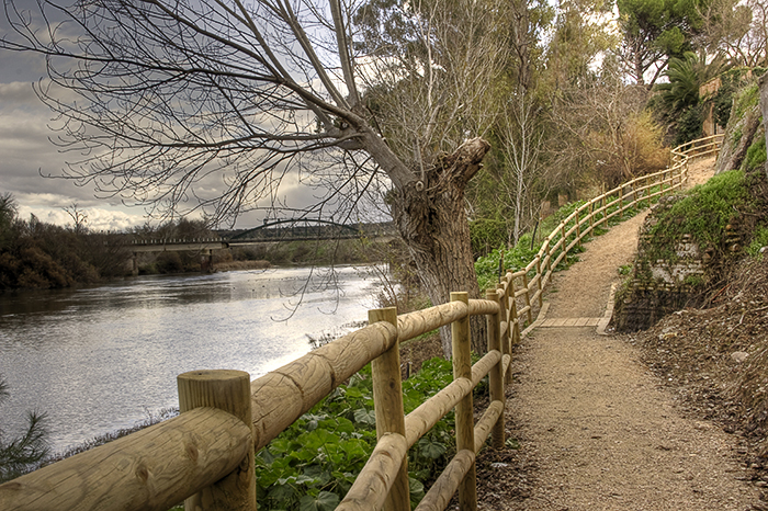 Paseo de la barranca 20 (Malpica de Tajo)