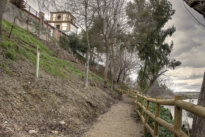 Paseo de la barranca 5 (Malpica de Tajo)
