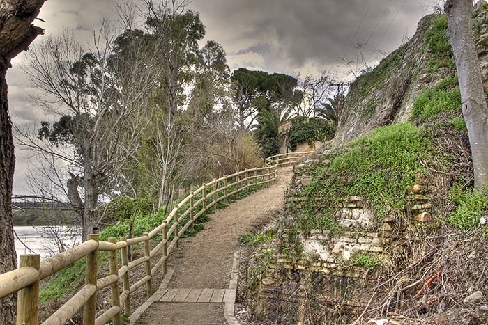 Paseo de la barranca 6 (Malpica de Tajo)