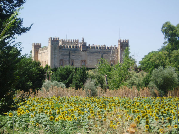 Castillo de Malpica de Tajo (Flix Erustes)