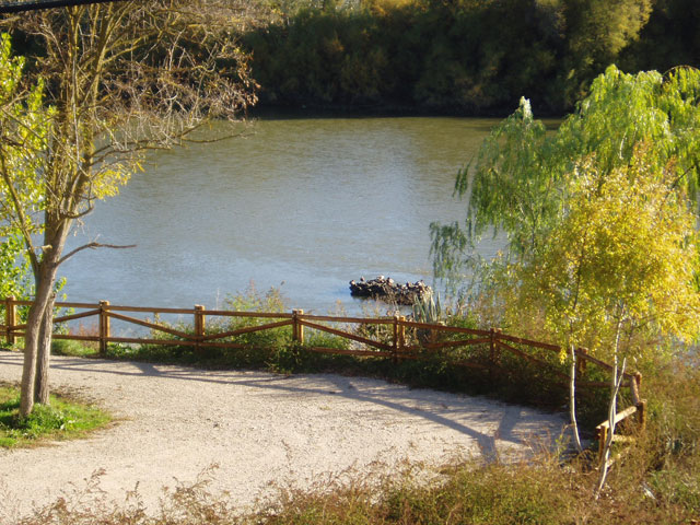Pen de Malpica de Tajo (Flix Erustes)