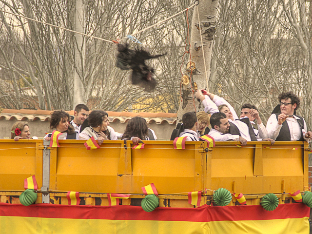 Lara consigue quedarse con la cabeza del gallo entre las manos