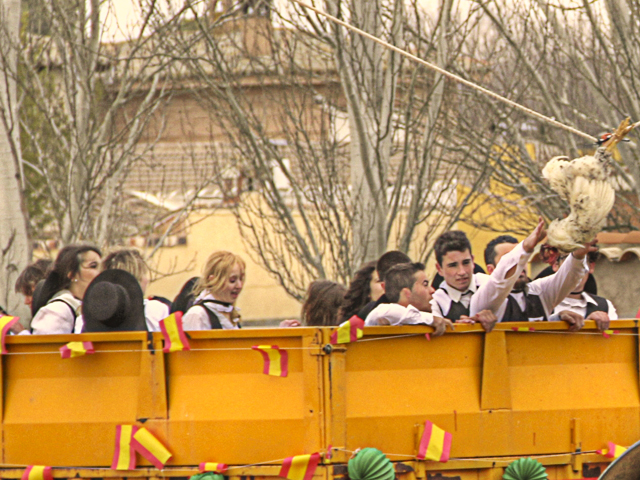 Gonzalo a punto de coger al gallo por el cuello