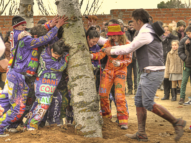 Quintos del 2014 intenta derribar uno de los palos