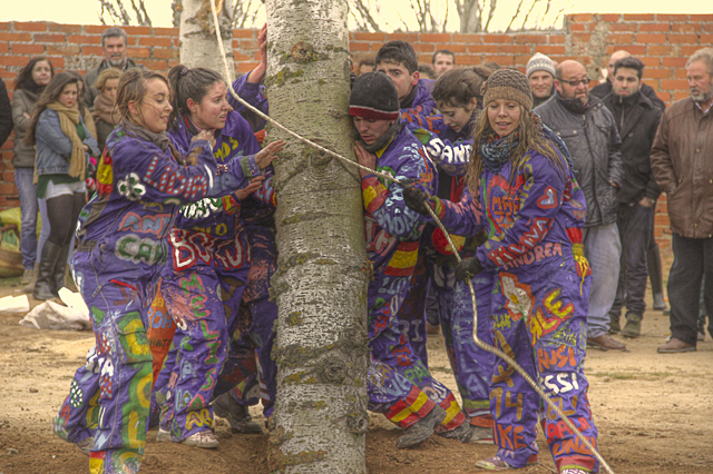 Carnaval Carnaval