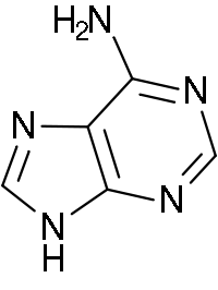 Adenina