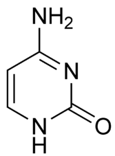 Citosina