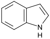 Indol